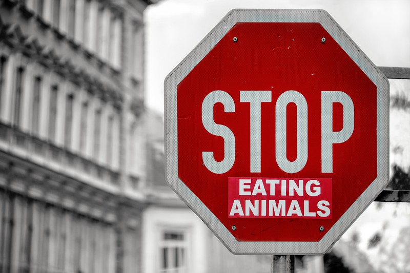 Fleischgenuss auf veganem Festival