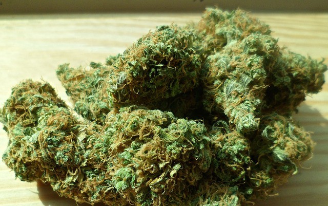 Das erste EU-Land legalisiert Cannabis