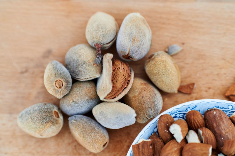 Nüsse enthalten wertvolle Omega-3 und Omega-6-Fettsäuren, Folsäure und Zink – alles Stoffe, die sich positiv auf unsere Fruchtbarkeit auswirken.