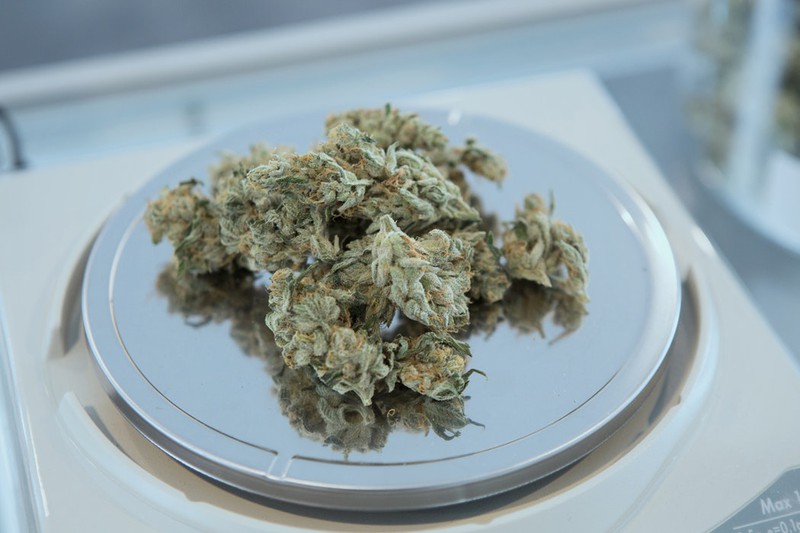 Erste deutsche Stadt will Gras legalisieren