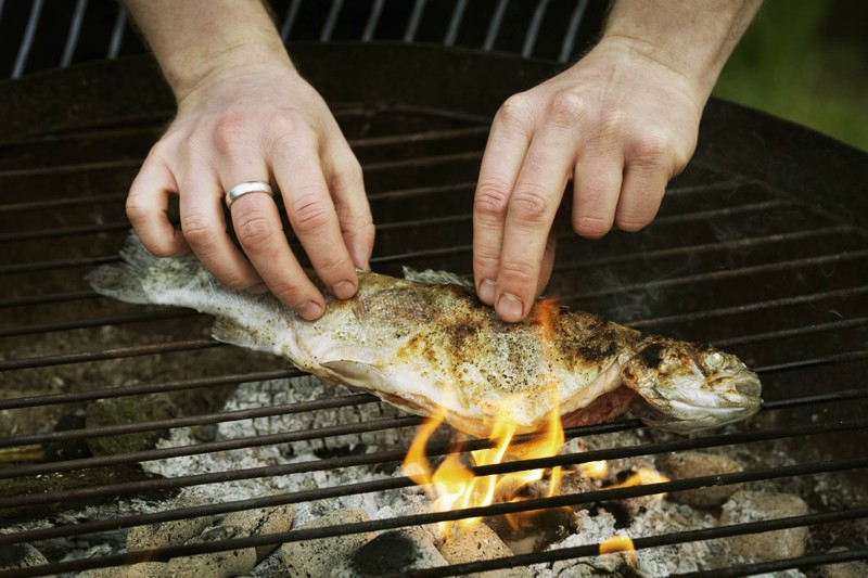 Wenn man Fisch grillen will, kann man einige Fehler vermeiden, wie z.B. ihn direkt auf den Rost zu geben.