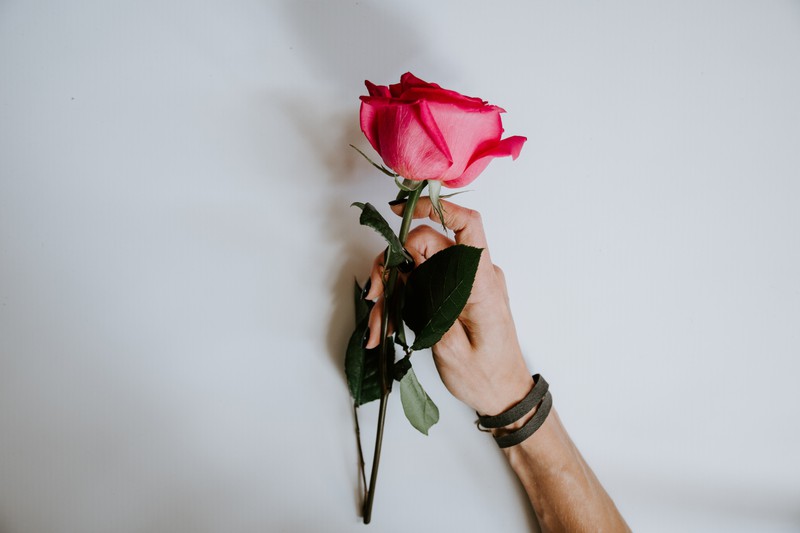 Um mehr zu sein, als ihr bester Freund, kann man schon einmal eine Rose verschenken.