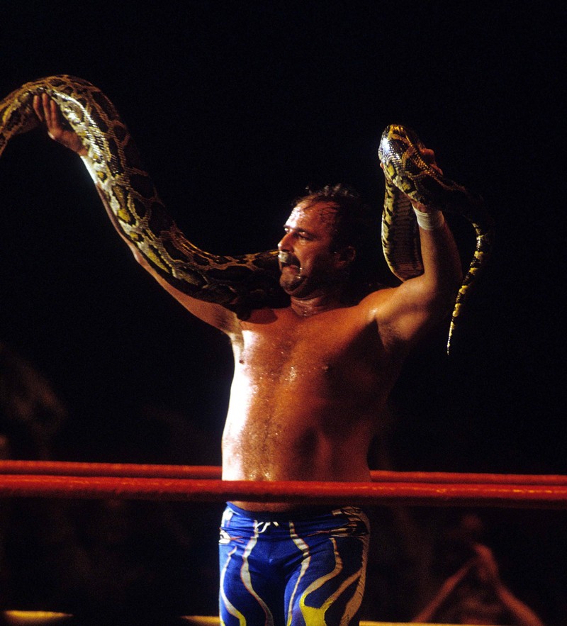 Jake „The Snake“ Roberts zeigte sich einst mit einer echten Schlange im Ring.